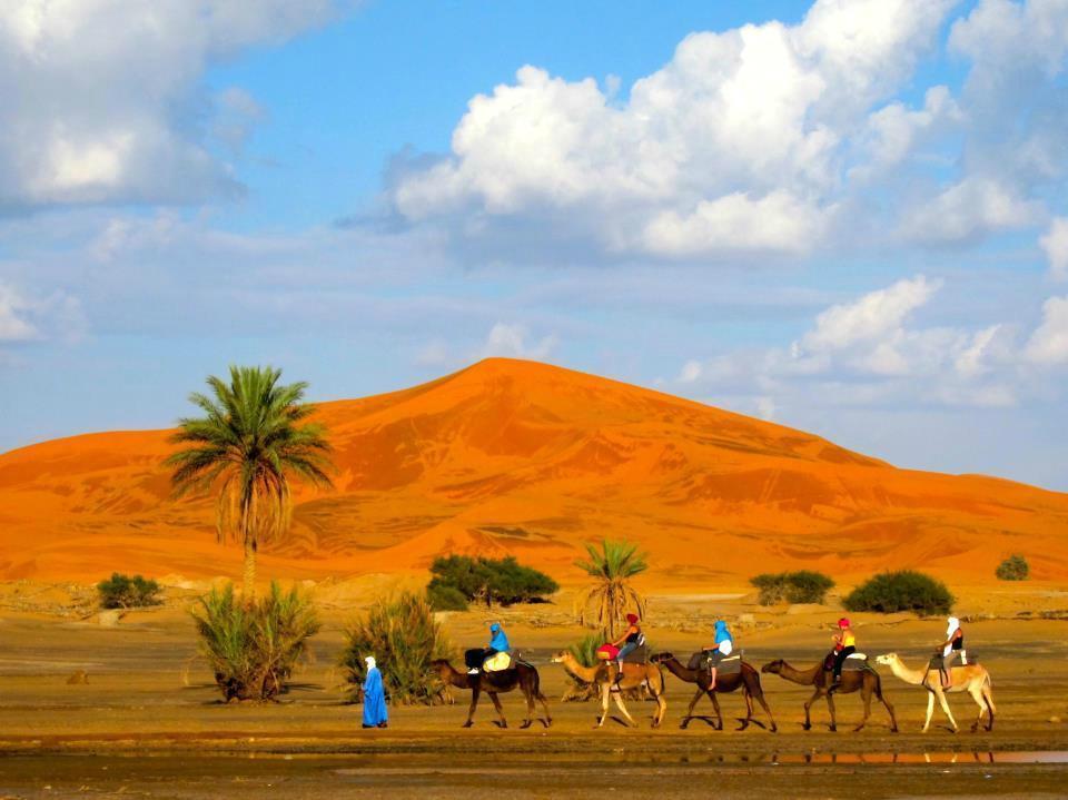 Riad Desert Camel Merzouga Exteriör bild