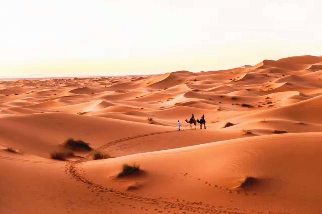 Riad Desert Camel Merzouga Exteriör bild